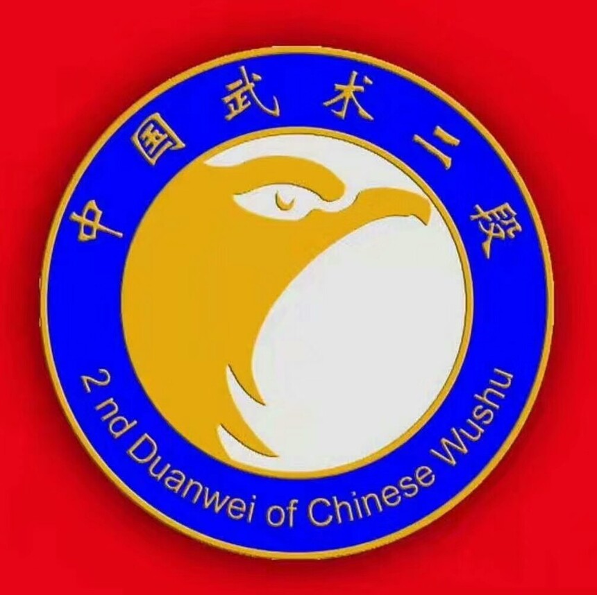 中国武术二段