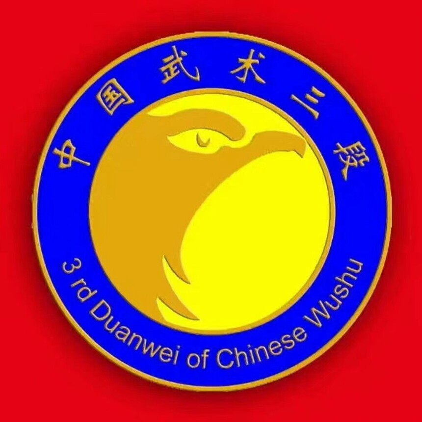 中国武术三段