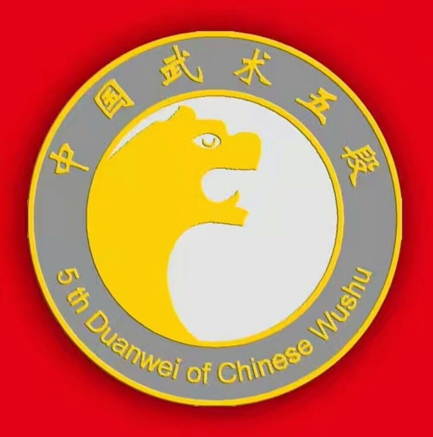 中国武术五段