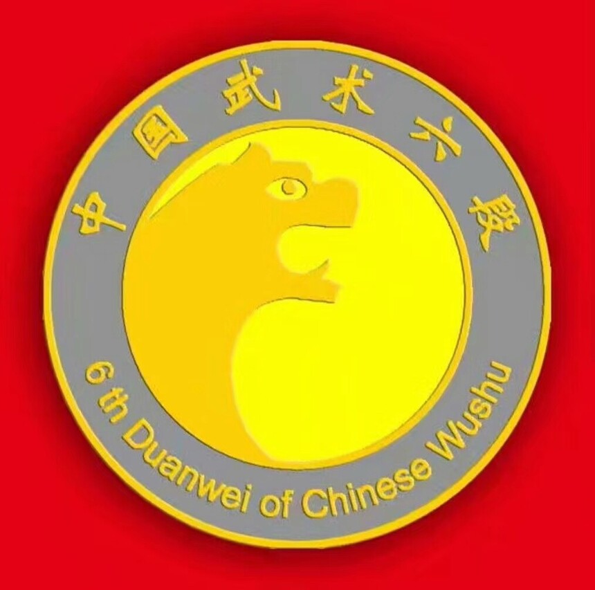中国武术六段
